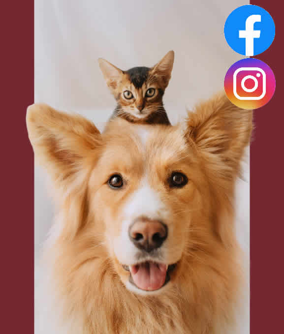 Follow Bed 'n' Biscuit 2 in Bismarck, ND on Facebook and Instagram!